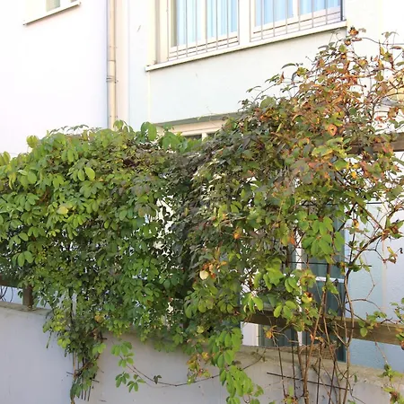 Appartement Strandjuwel 234 Ostseebad Kühlungsborn